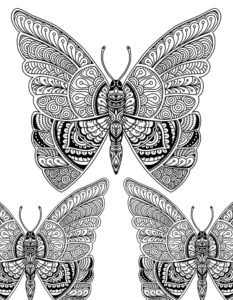 Beautiful Butterflies Doodle Art Adult Coloring Page for Instant Download