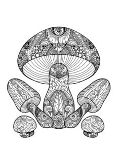 Mushroom Group Printable Coloring Page for Adults