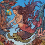 mermaid-angelfish-colors