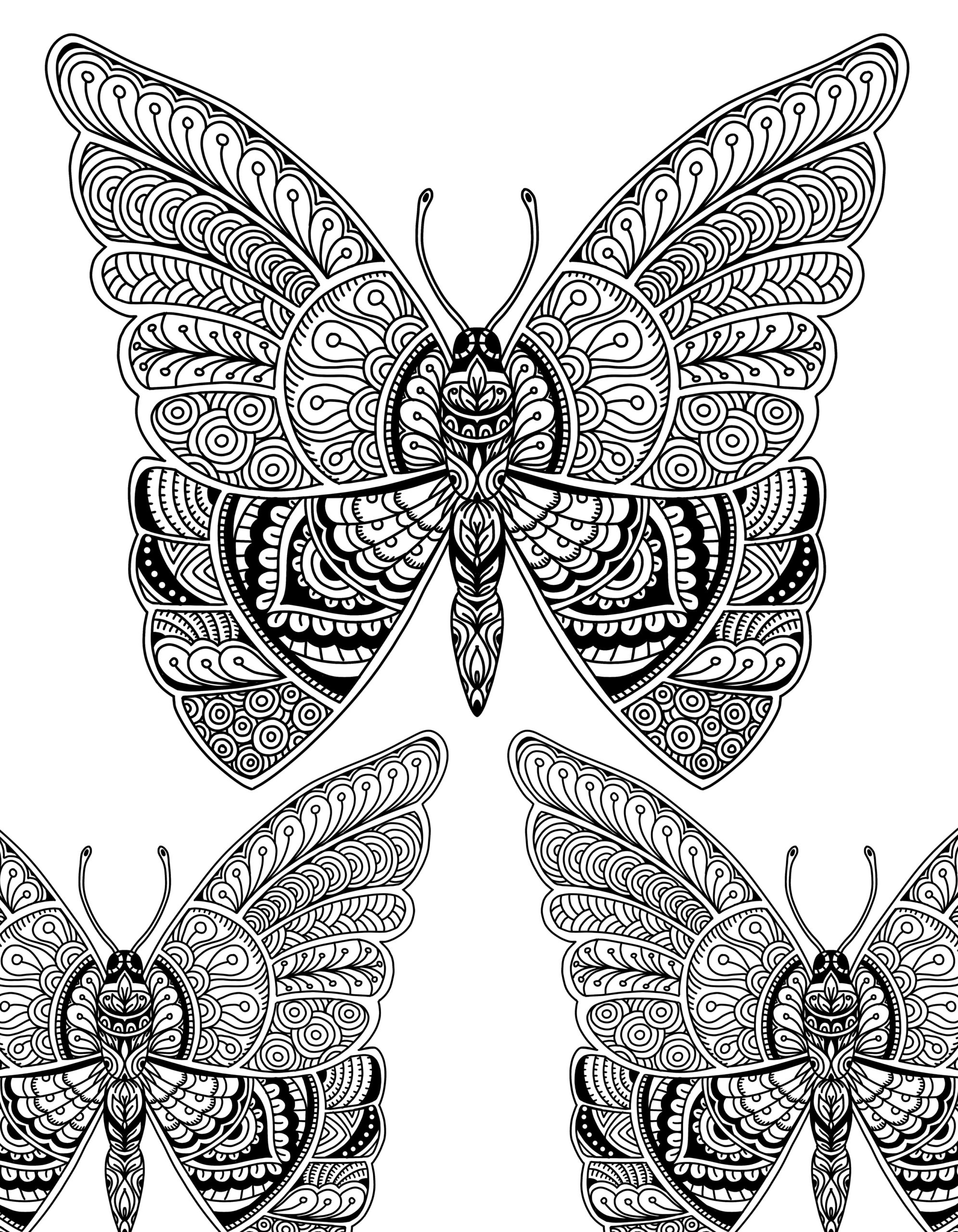 Beautiful Butterfly Doodle Art Adult Coloring Page
