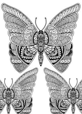 Beautiful Butterflies Doodle Art Adult Coloring Page for Instant Download