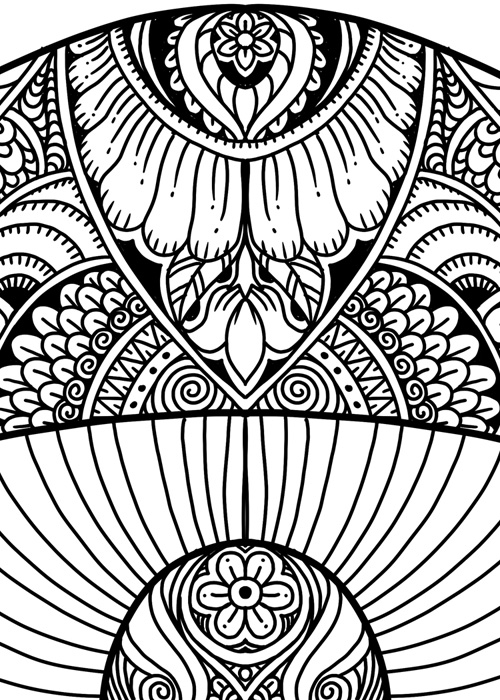 Mushrooms Doodle Art Adult Coloring Page